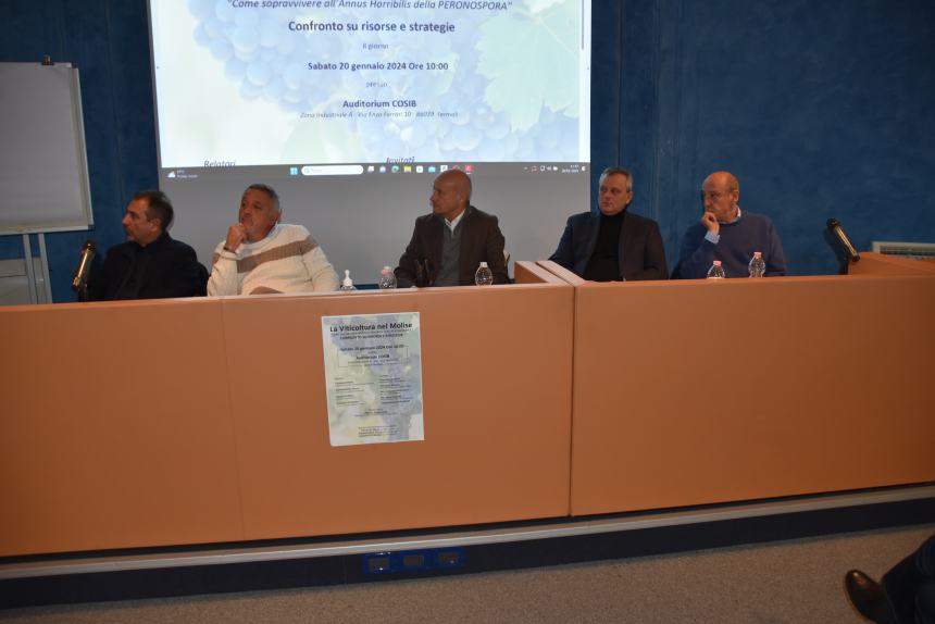 "Come sopravvivere all'annus horribilis della peronospora: confronto su risorse e strategie"