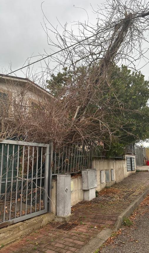 “Pali del telefono pericolanti in via San Rocco, uno è poggiato sul mio cancello”