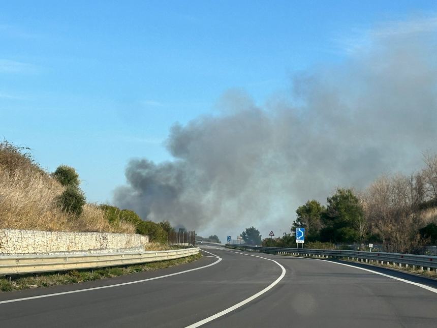 Divampa incendio lungo la Tangenziale Nord