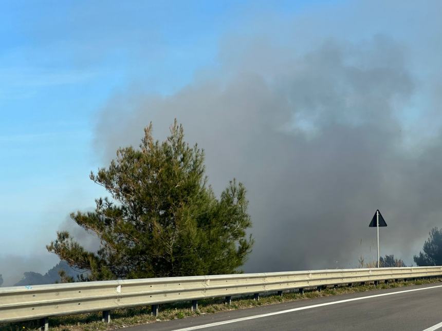 Divampa incendio lungo la Tangenziale Nord