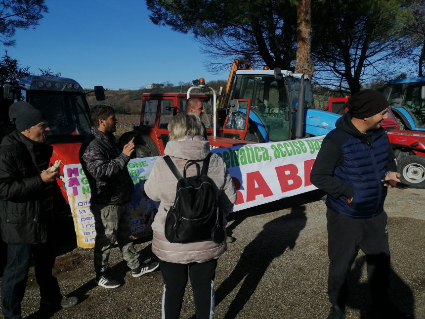 Agricoltori protestano a Vasto: "Non si può più coltivare, i costi ci stanno massacrando"