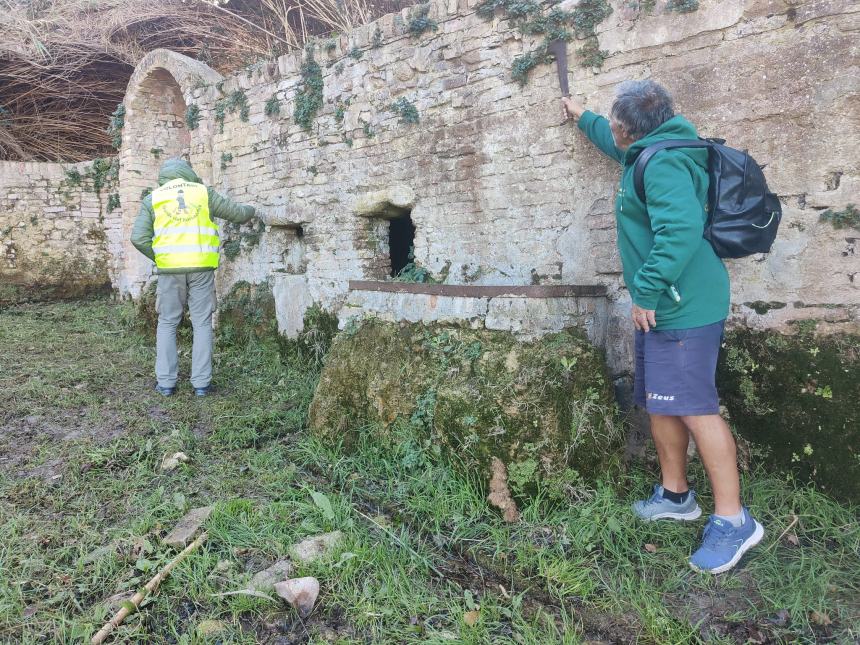 Volontari del Borsacchio proseguono con successo il progetto alberi e la cura del territorio