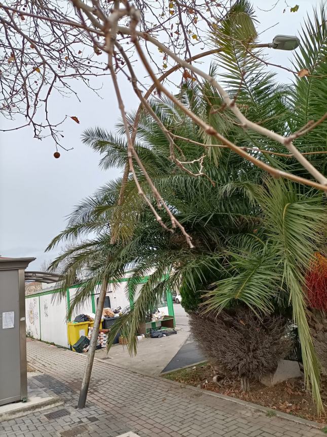 "Al Terminal bus di Vasto palo della luce pericolante, fate attenzione"