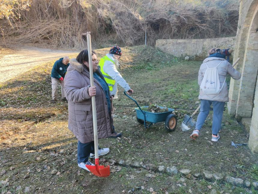 Volontari del Borsacchio proseguono con successo il progetto alberi e la cura del territorio