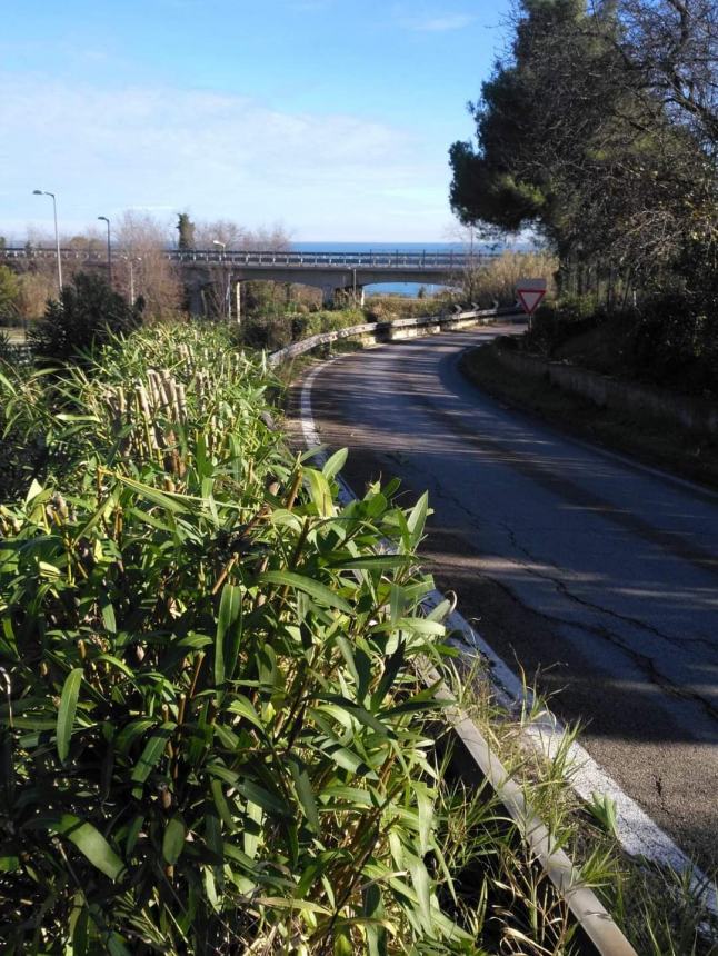 Sfalcio dell'erba in via Mario Molino e viadotto San Nicola