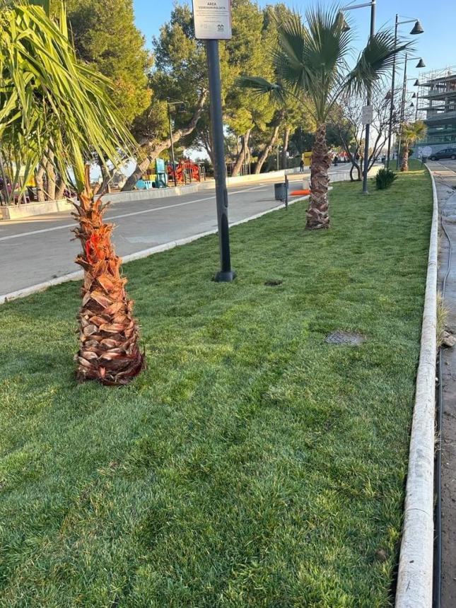 Vasto Marina cambia look: manto verde per le aiuole del lungomare