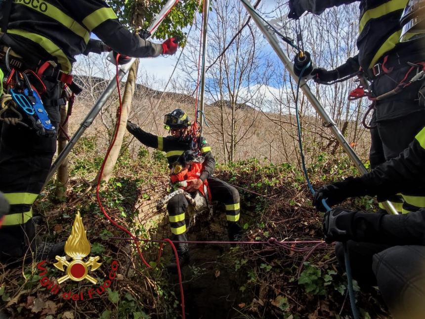 Cane caduto in un pozzo recuperato dai Vigili del fuoco