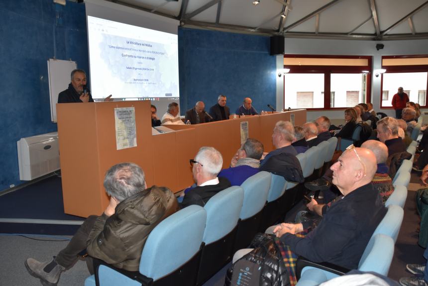 "Come sopravvivere all'annus horribilis della peronospora: confronto su risorse e strategie"