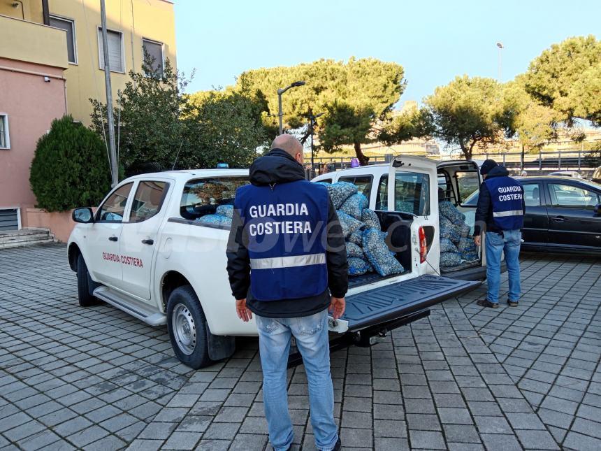 Ingente quantitativo di vongole sequestrato dalla Guardia costiera