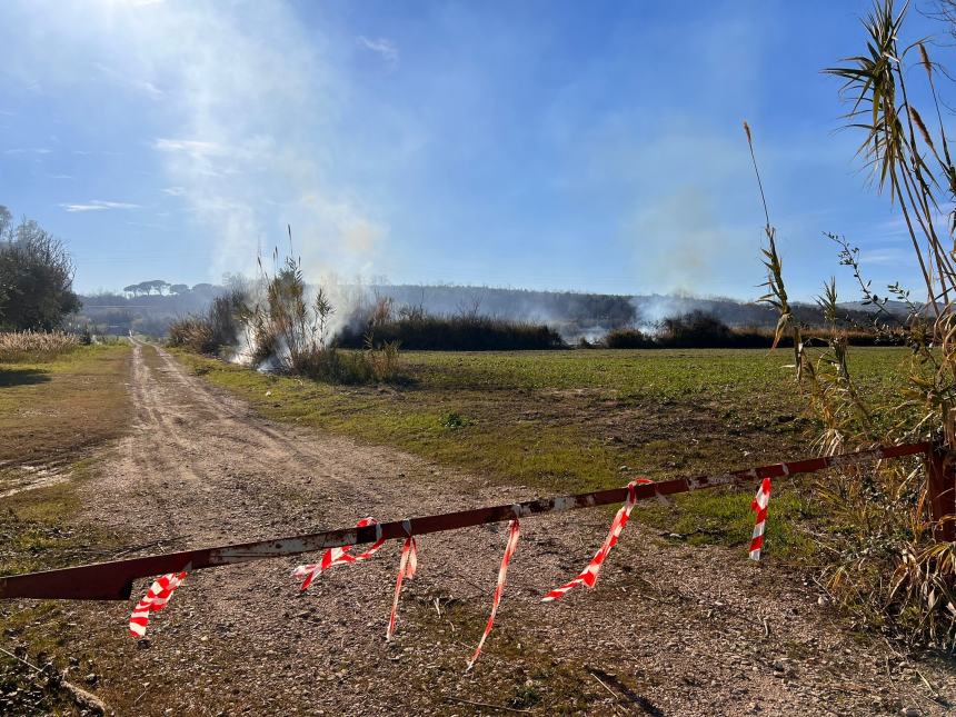 Rogo di sterpaglie su un terreno adiacente la Statale 16 a San Salvo Marina