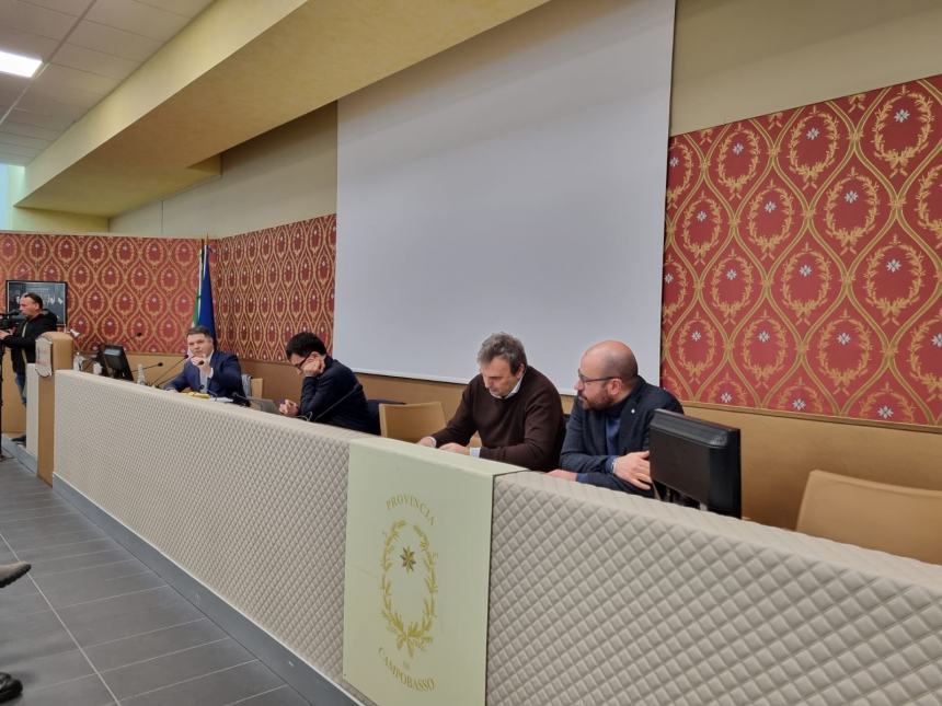 Conferenza dei sindaci