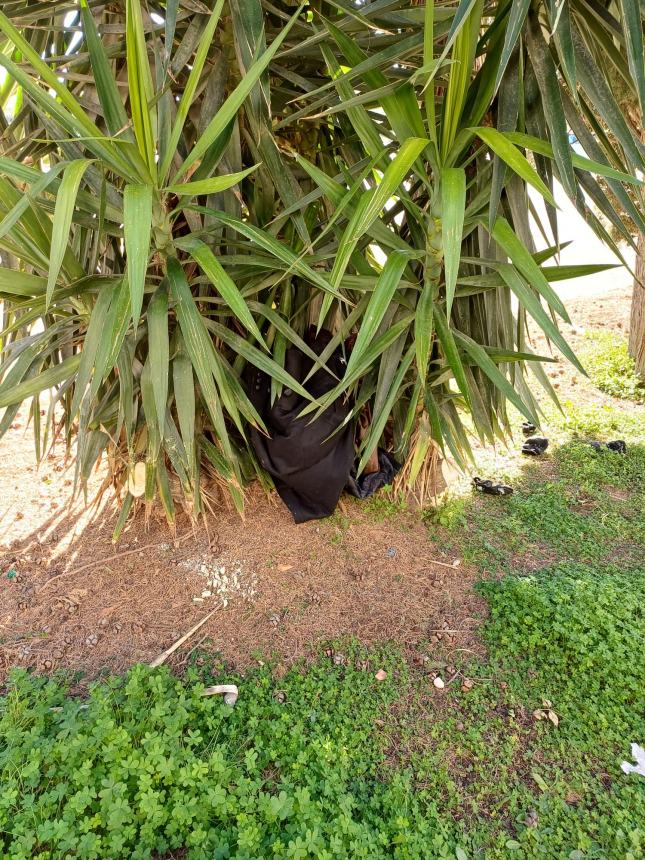 «Cenano, sporcano e dormono sotto ai chioschi del cimitero»