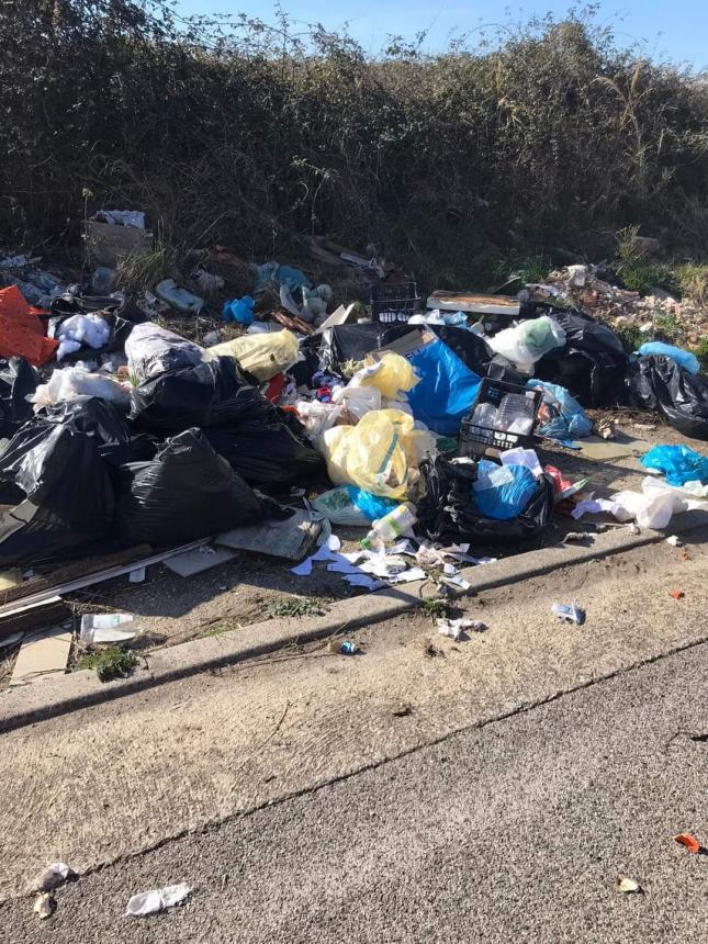 Discarica a cielo aperto a Punta Penna: "Responsabile individuato e sanzionato" 