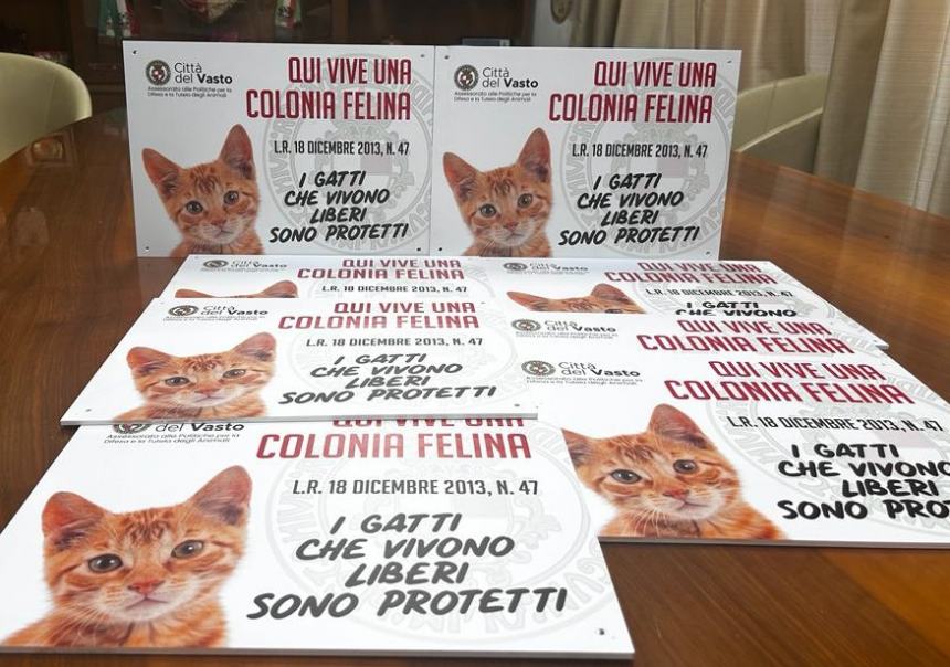 A Vasto cartelli per segnalare la presenza di colonie feline 