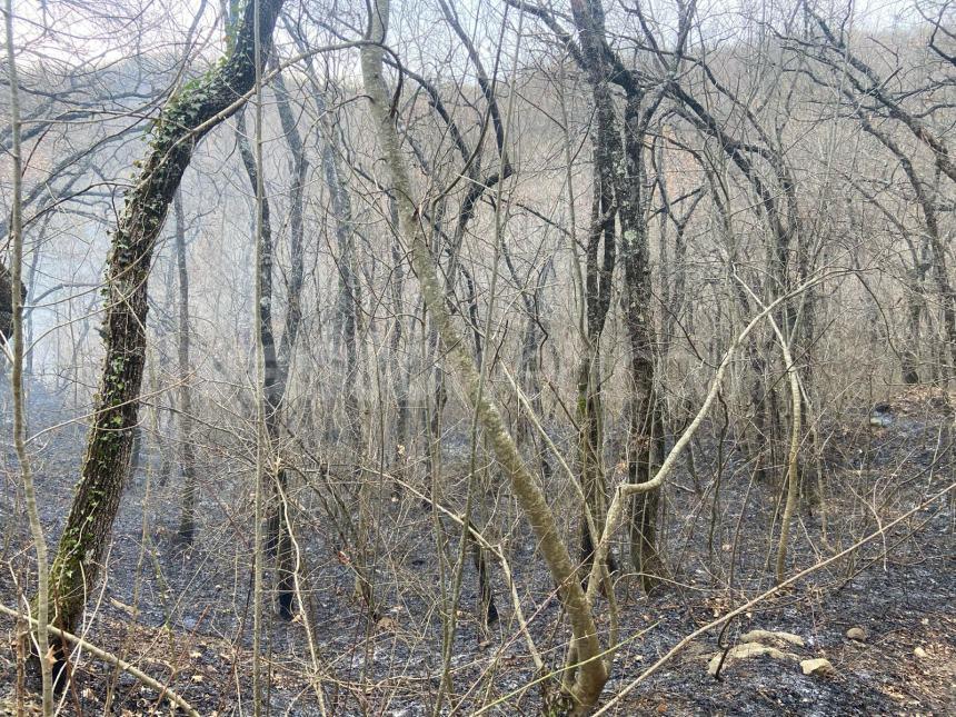 Sottobosco in fiamme al Convento di Sant'Antonio a San Buono