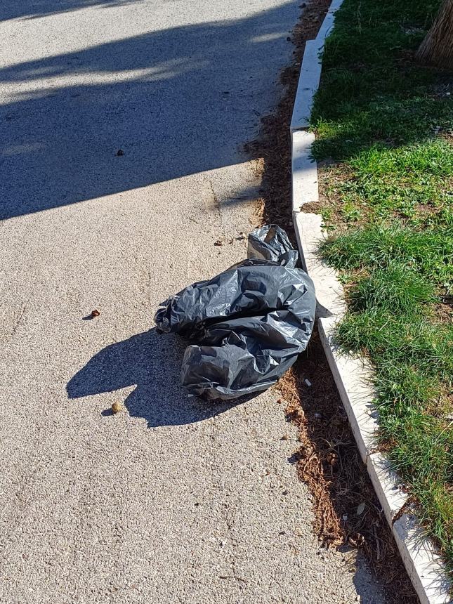 «Cenano, sporcano e dormono sotto ai chioschi del cimitero»