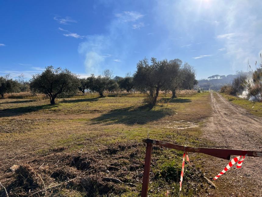 Rogo di sterpaglie su un terreno adiacente la Statale 16 a San Salvo Marina