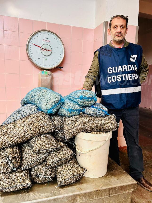 La Guardia costiera sequestra oltre 530 kg. di vongole