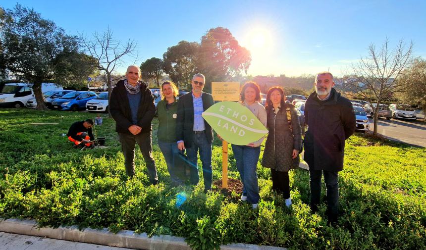 presso le aree verdi delle scuole cittadine di Vasto 48 piantine