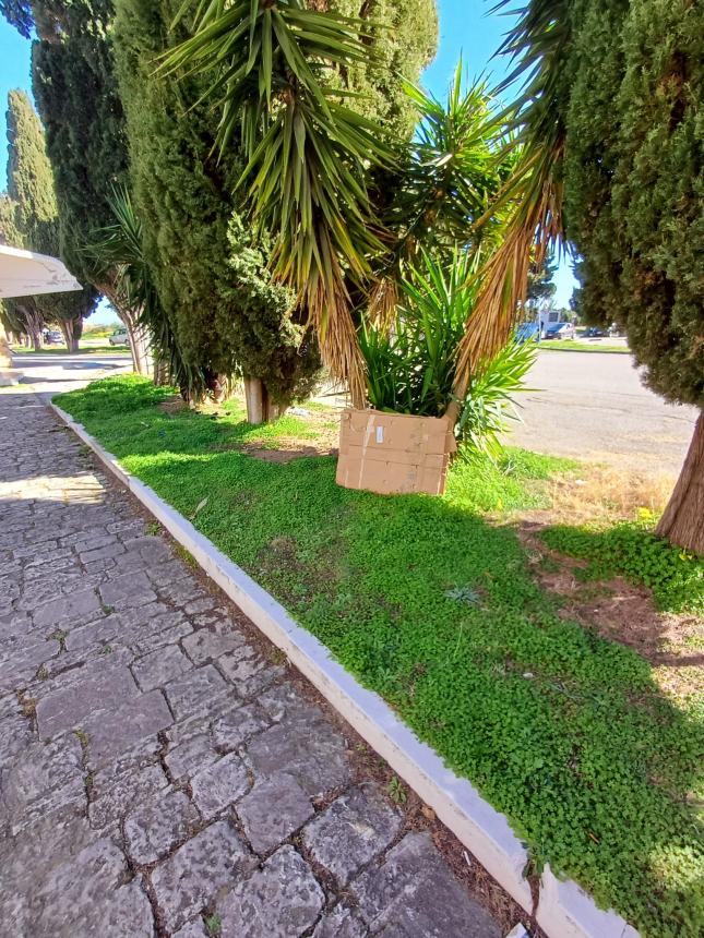 «Cenano, sporcano e dormono sotto ai chioschi del cimitero»