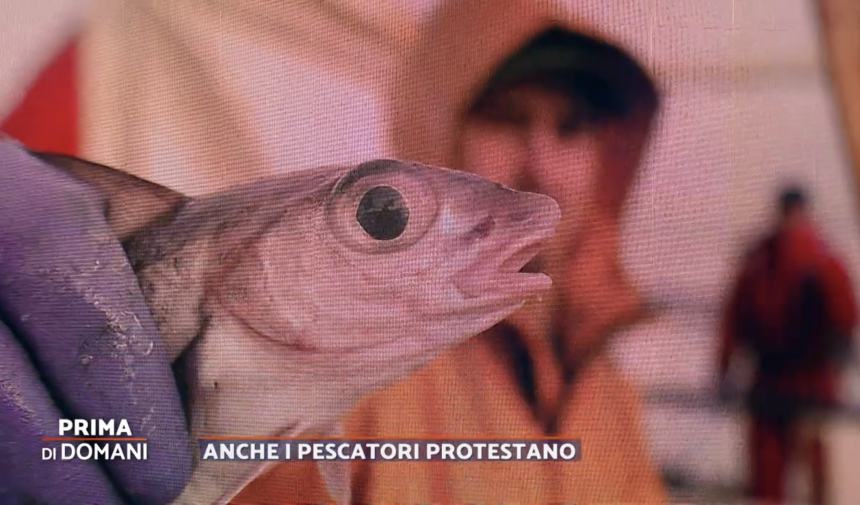 Il pescatore Angelo Natarelli su rete 4 per la protesta: “Chiediamo più tutele”