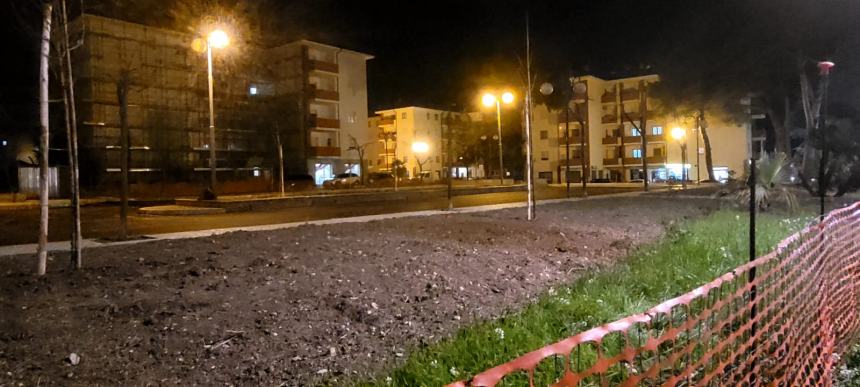 Villetta Due Pini: "Piantati 8 stuzzicadenti al posto dei 16 alberi abbattuti" 