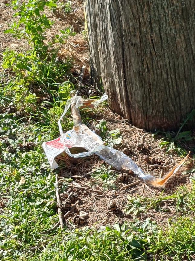 «Cenano, sporcano e dormono sotto ai chioschi del cimitero»