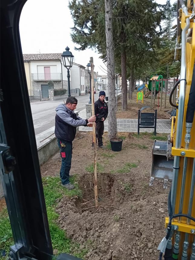 In fase di ultimazione i lavori per nuovi giochi e piante nella villa comunale di Palmoli