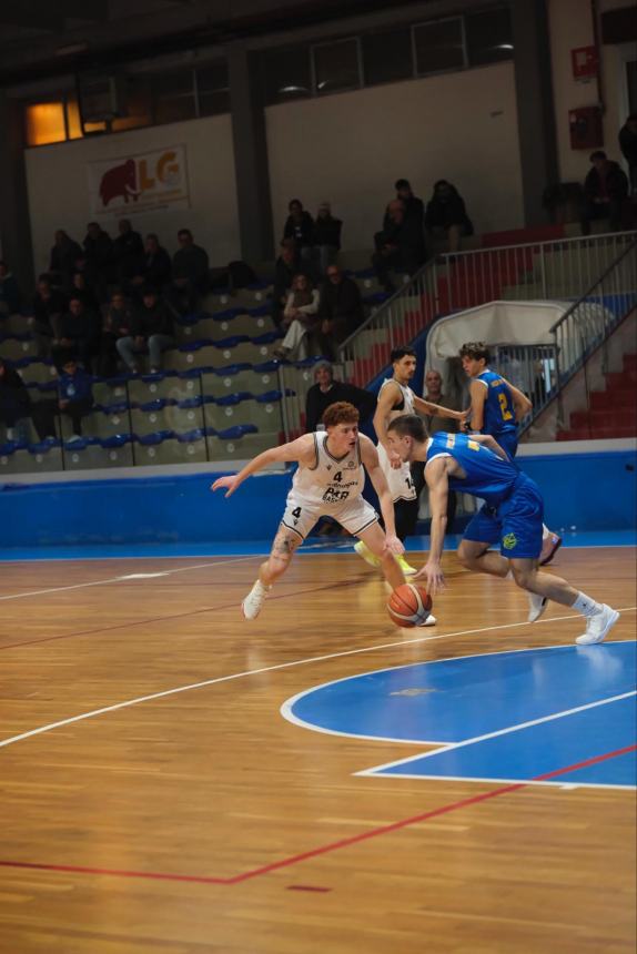 L'Air basket Termoli serve il tris al PalaSabetta