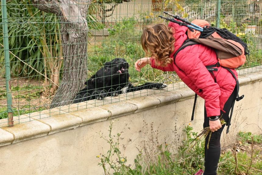 Da Vasto a Monteodorisio: 10 km a piedi alla scoperta del territorio