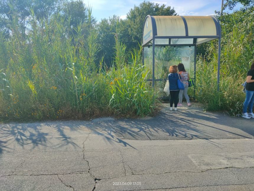 Lavoratori protestano in Val Sinello: “Strade colabrodo, rischiamo la vita ogni giorno”