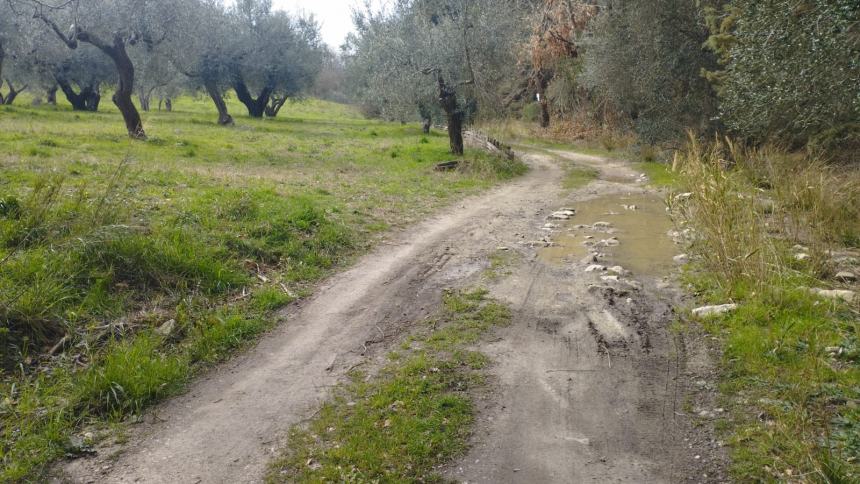 Strade interpoderali dissestate, l'altro "nodo" irrisolto del mondo agricolo