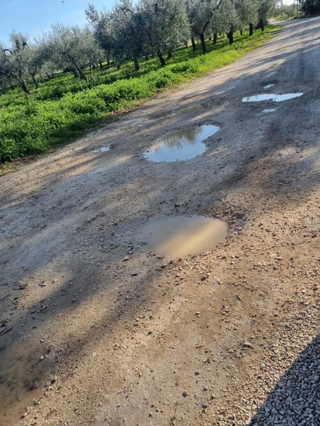 Strade interpoderali dissestate, l'altro "nodo" irrisolto del mondo agricolo