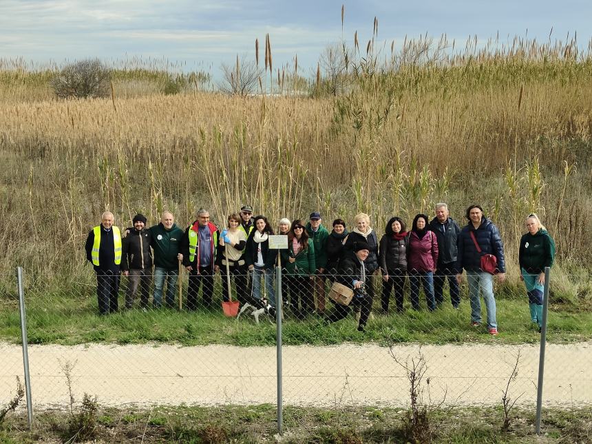 Riserva Borsacchio, due mimose messe a dimora lungo la Ciclo Pedonale