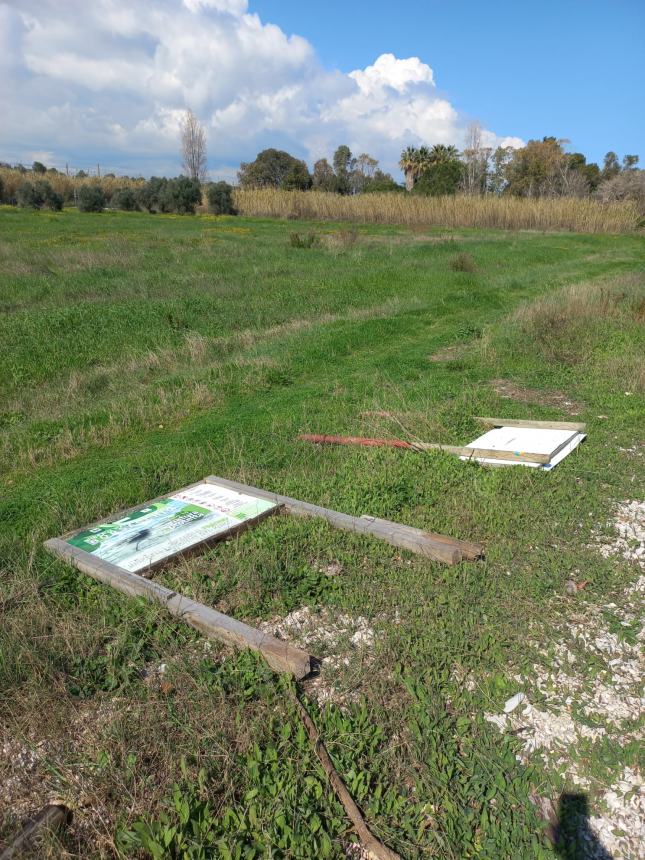 Riserva Borsacchio, ancora  atti vandalici:“Chiediamo intervento urgente”