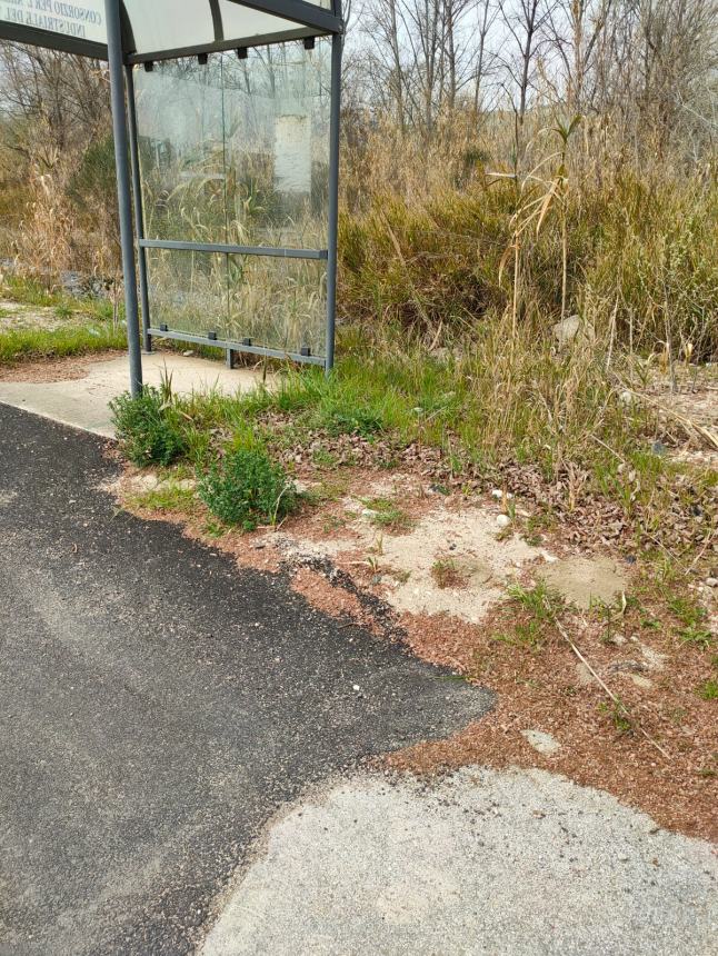 Lavoratori protestano in Val Sinello: “Strade colabrodo, rischiamo la vita ogni giorno”