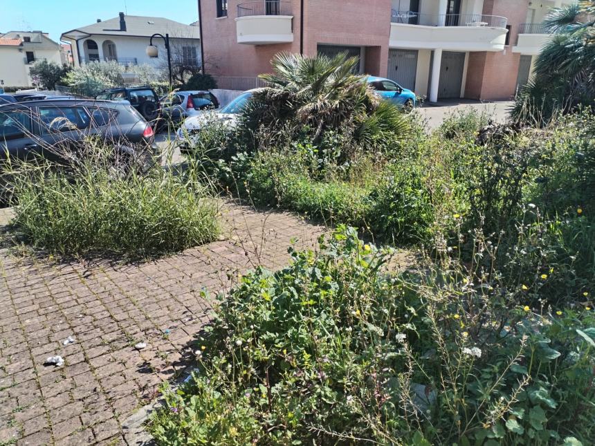 “Incuria e scarsa manutenzione del verde nel giardino nei pressi di piazza Dalla Chiesa”