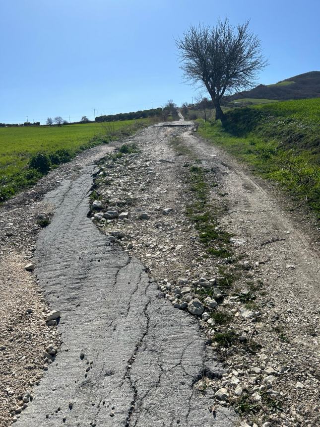 Strade interpoderali dissestate, l'altro "nodo" irrisolto del mondo agricolo