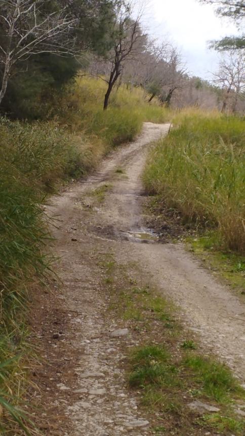 Strade interpoderali dissestate, l'altro "nodo" irrisolto del mondo agricolo