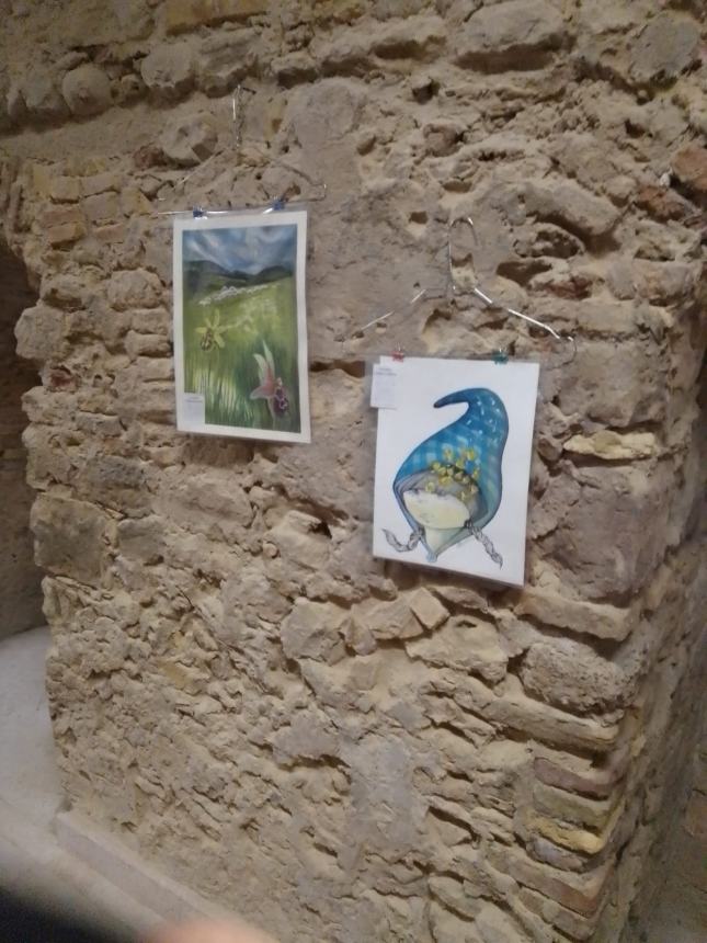 Materiale originale di Jacovitti in mostra al Castello, oggi la chiusura