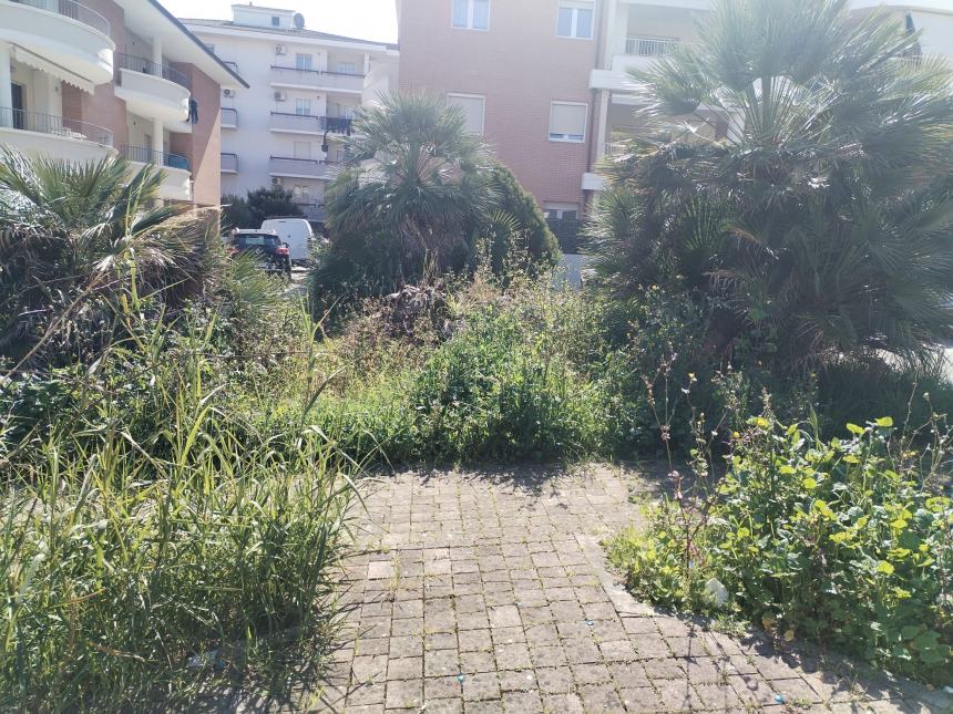 “Incuria e scarsa manutenzione del verde nel giardino nei pressi di piazza Dalla Chiesa”