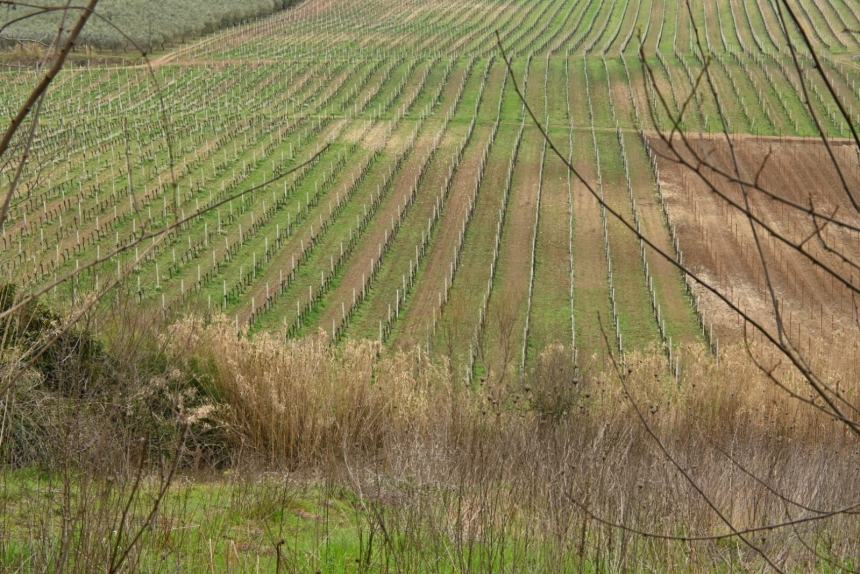 Da Vasto a Monteodorisio: 10 km a piedi alla scoperta del territorio