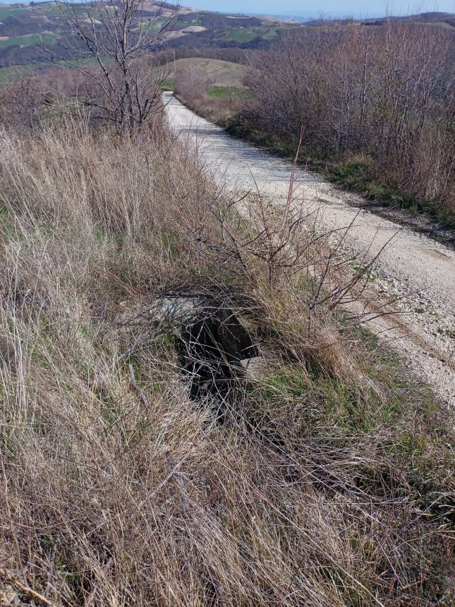 Strade interpoderali dissestate, l'altro "nodo" irrisolto del mondo agricolo