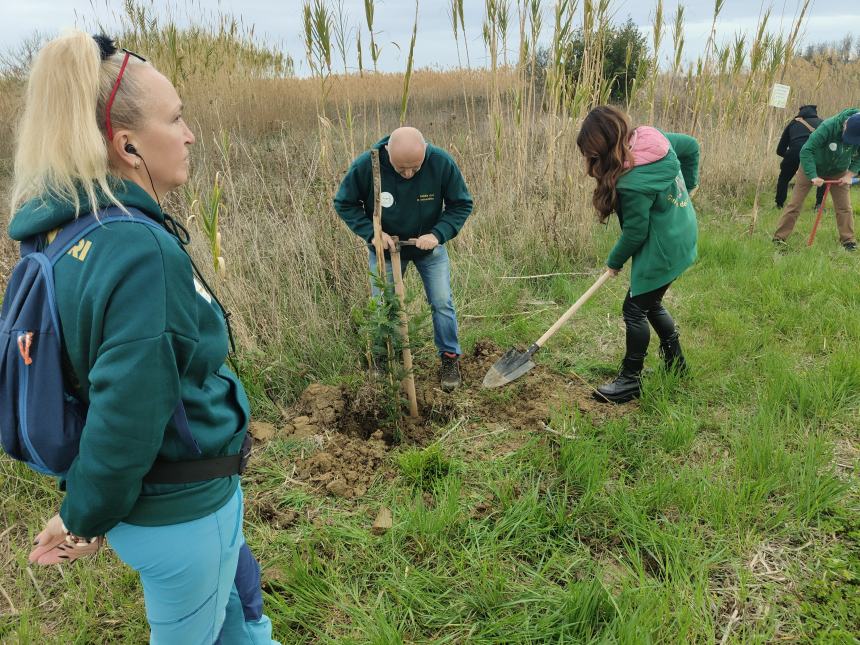 Riserva Borsacchio, due mimose messe a dimora lungo la Ciclo Pedonale