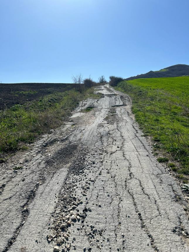 Strade interpoderali dissestate, l'altro "nodo" irrisolto del mondo agricolo