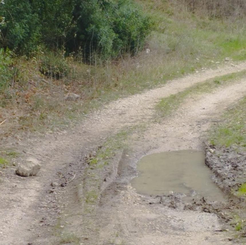 Strade interpoderali dissestate, l'altro "nodo" irrisolto del mondo agricolo