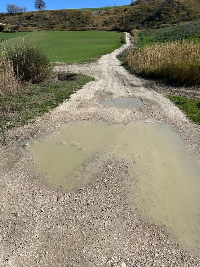 Strade interpoderali dissestate, l'altro "nodo" irrisolto del mondo agricolo