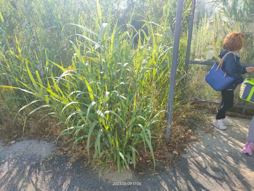 Lavoratori protestano in Val Sinello: “Strade colabrodo, rischiamo la vita ogni giorno”