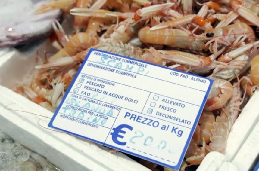 Angelo Natarelli su Rete 4: “Viviamo la concorrenza del pesce importato” 
