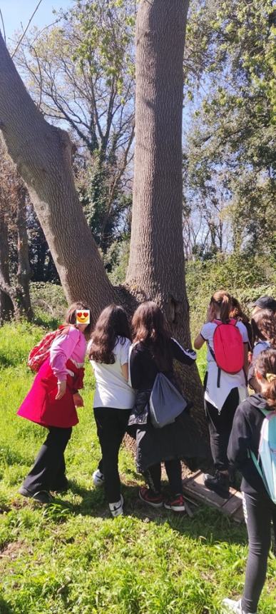 Clima, foreste e ambiente: a Campomarino la natura al centro del "villaggio"